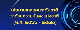 นโยบายและแผนระดับชาติว่าด้วยความมั่นคงแห่งชาติ